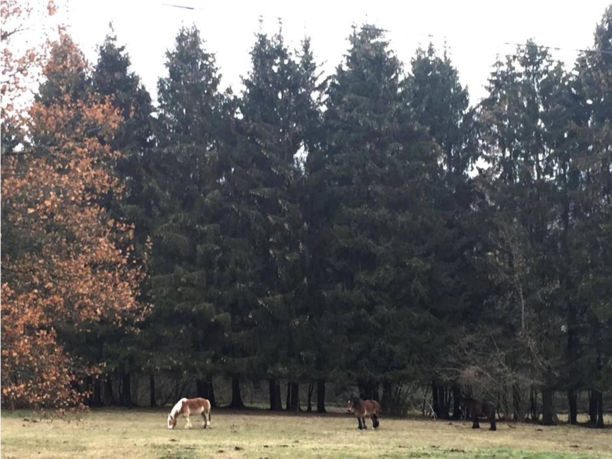 Villa La Chenaie Vresse-sur-Semois Esterno foto
